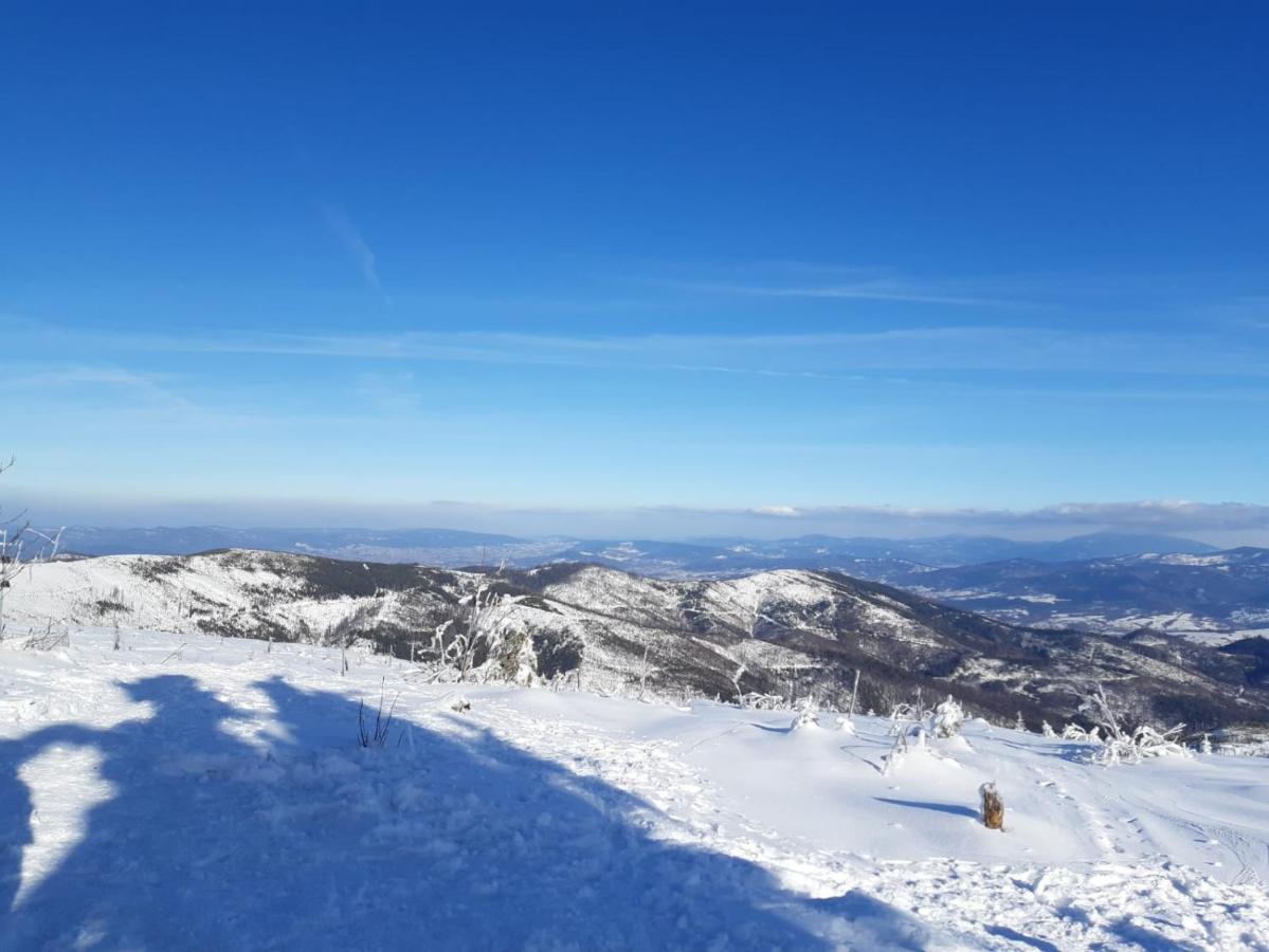 Chata Goralska Wojtasowka Kamesznica Kültér fotó